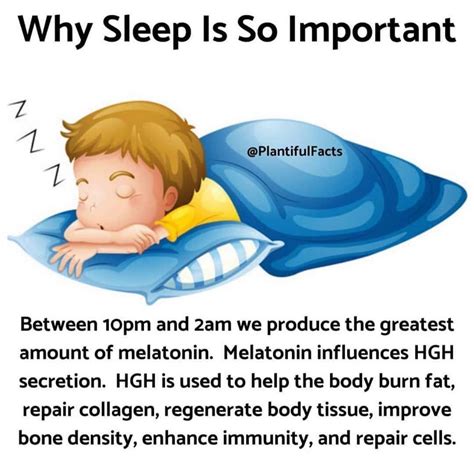 did you know importance of sleep rejoice wellness