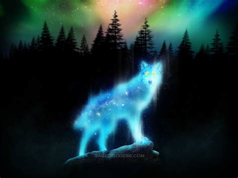Wolf Aurora Wallpapers Top Free Wolf Aurora Backgrounds Wallpaperaccess