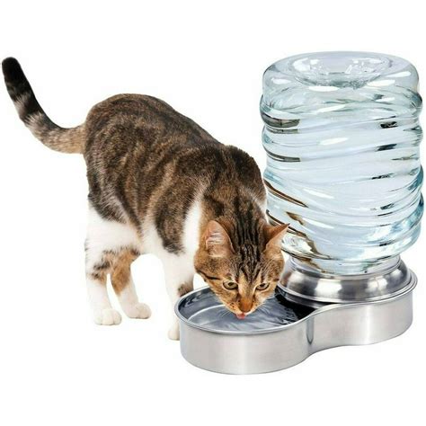 Pet Water Fountain For Dog Cat Stainless Steel Bowl Automatic Gravity