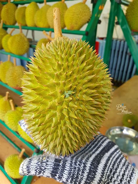 D101 Durian From Johor And Semenyih