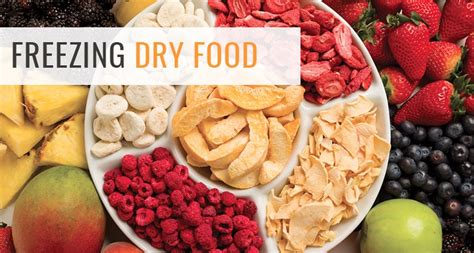 When buying a wet dog food can, you must have to keep it in the environment where the temperature is about because wet dog food contains moist, it would dry if we place the can at room temperature. How to Freeze Dry Food For Long Term Storage? - Dehydrator ...
