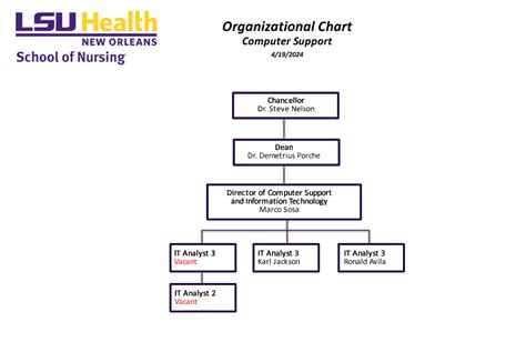 Nursing Organizational Structure Chart