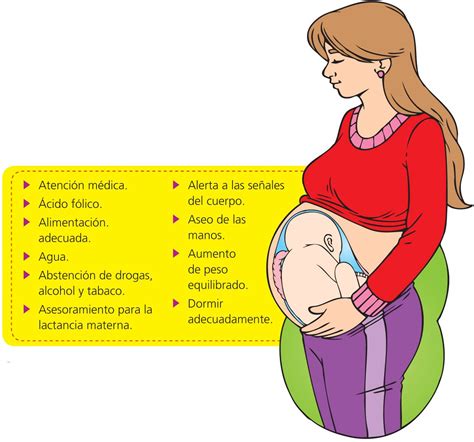 Cuidados Durante El Embarazo Y Puerperio Escolar Abc Color