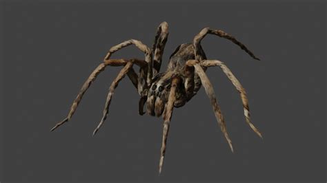 Spider Walk Cycle Animation Blender 29 Youtube
