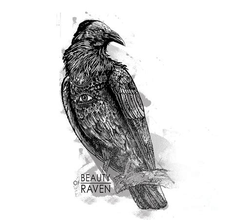 Beauty Of Raven Digital Art By Agraworks Pixels