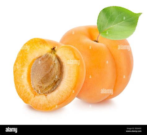 Apricots With Leaf Stock Photo Alamy