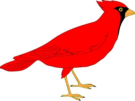 Northern Cardinal St Custom Red Cardinal Throw Blanket Clipart Full