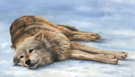 Grey Wolf Painting Print By David Stribbling Wolf Malen Tigermalerei