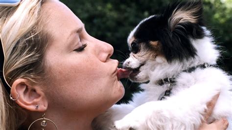 Do Dogs Like When Humans Kiss Them