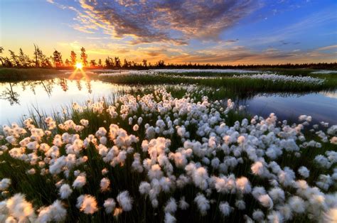 100 Best Photos From The Contest Wild Nature Of Russia 2015 53 Sunset