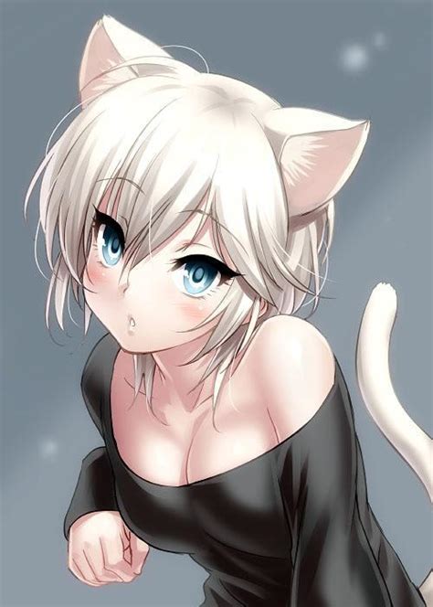 Anime Cat Girl On Tumblr