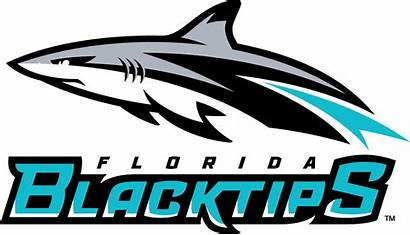 Florida Blacktips Logos Sportslogos Primary Sports Football
