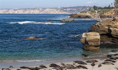 10 Best Beaches In La Jolla Ca 2024 Top Beach Spots