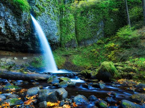 Upper Horsetail Falls Or Ponytail Falls Columbia River Gorge Area Of