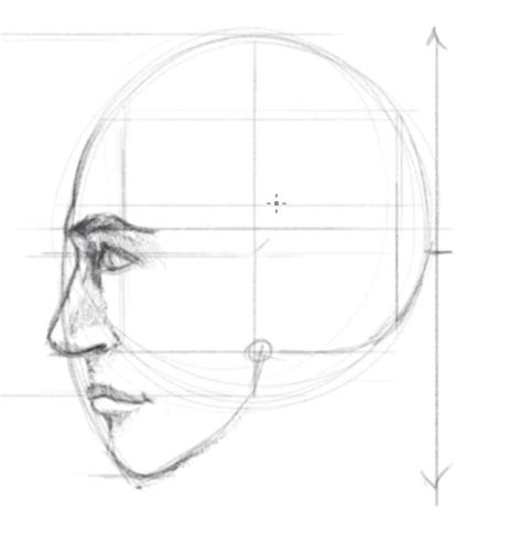 Consejos Para Dibujar El Rostro Y Las Expresiones Faciales Como Dibujar Rostros Dibujos De