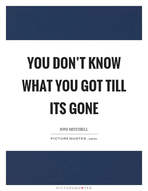 You Dont Know What You Got Till Its Gone Picture Quotes