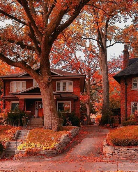 Relaxing Fall In Toronto Cozy And Comfy Autumn Scenery Autumn Cozy