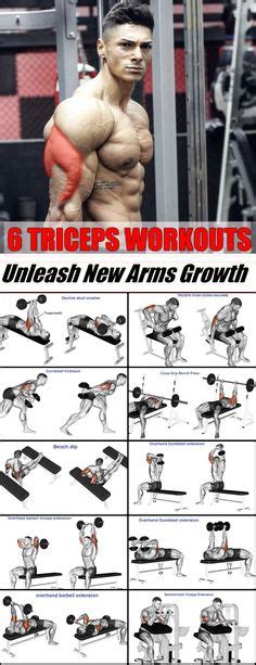 25 Bästa Triceps Workout Idéerna På Pinterest Biceps