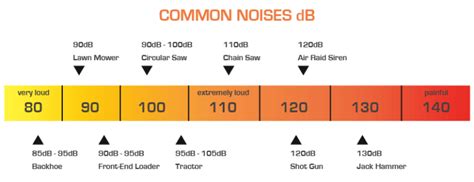 A Comprehensive Guide To Decibel Levels Of Gunshot