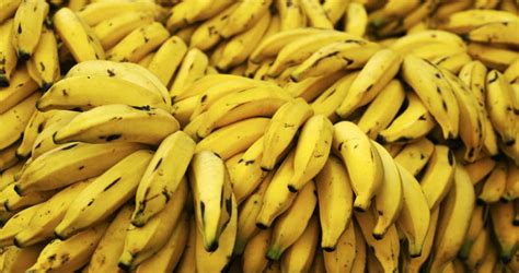 Prepare For Bananageddon Bananas May Not Exist In 5 To 10 Years News