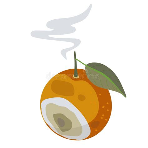 Modèle De Déchets Organiques Mauvais Fruit Orange Pourri Isolé Sur