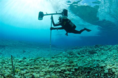 Why Did Nasa Stop Exploring The Ocean Tiktok Video Raises Questions