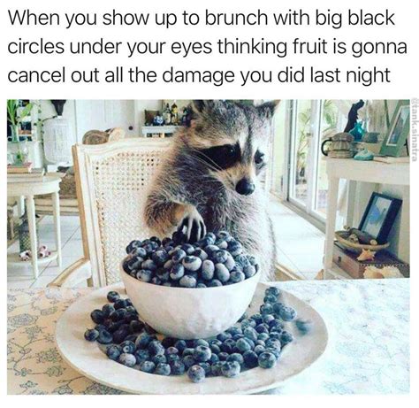 Meme Maybe Blueberries Will Help Viral Viral Videos