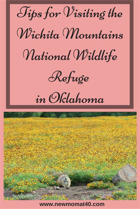 Wichita Mountains Wildlife Refuge New Mom At 40