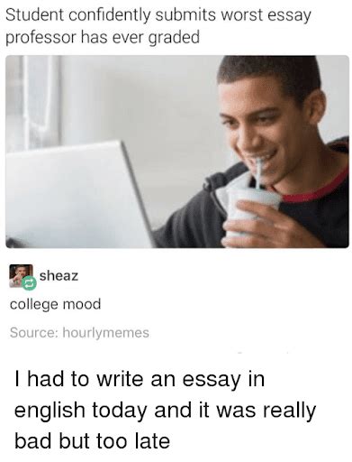Funny Essay Writing Memes