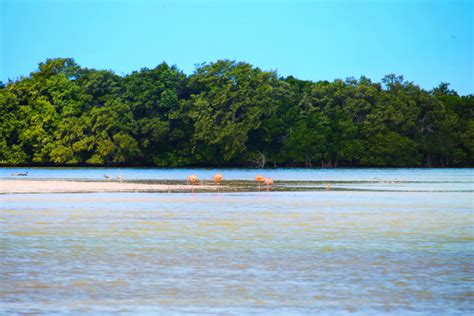 Travel For Yoga Isla Holbox Yoga Retreat For Self Care And New Perspective