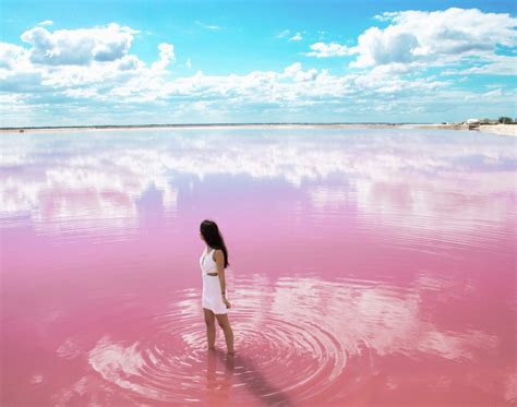 Las Coloradas The Magical Pink Lagoon In Yucatan Mexico