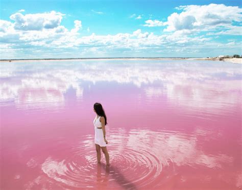 las coloradas the magical pink lagoon in yucatan mexico