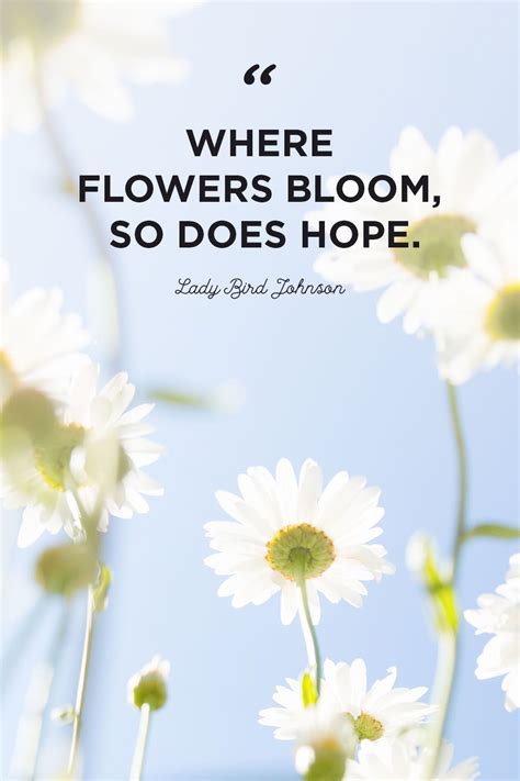 The Best Beautiful Quotes About Flowers And Life And Description In