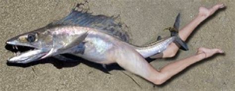 Balooggs Blog Strange Fish Turns Into Human In Ibadan Look Real