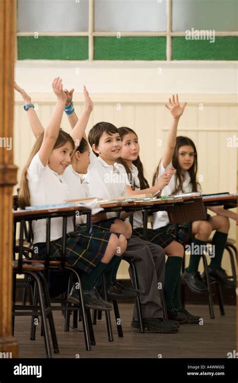 Young Students Raising Their Hands In Class Stock Photo Alamy