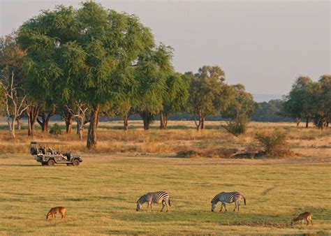 Visit South Luangwa National Park Zambia Audley Travel Us