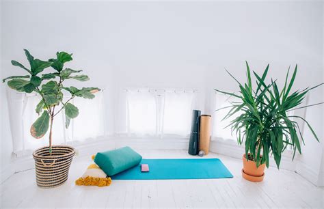 How To Set Up A Home Yoga Studio — Simple Tips From Amy Ippoliti Yoga