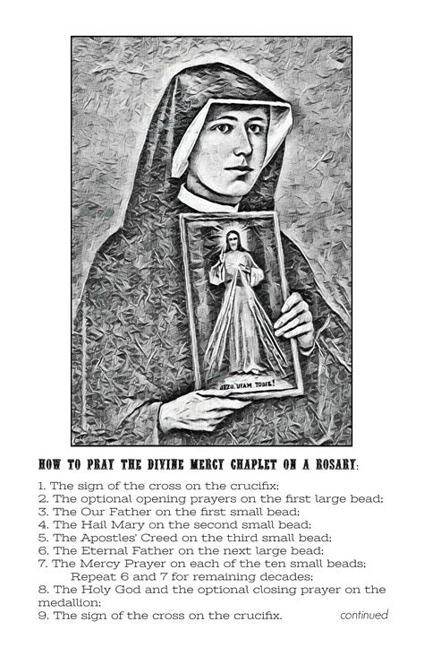 At the national shrine of the divine mercy, the chaplet of divine mercy novena is recited perpetually at the hour of great mercy — the three o'clock hour. Divine Mercy Novena Printable Booklet {Digital Download ...