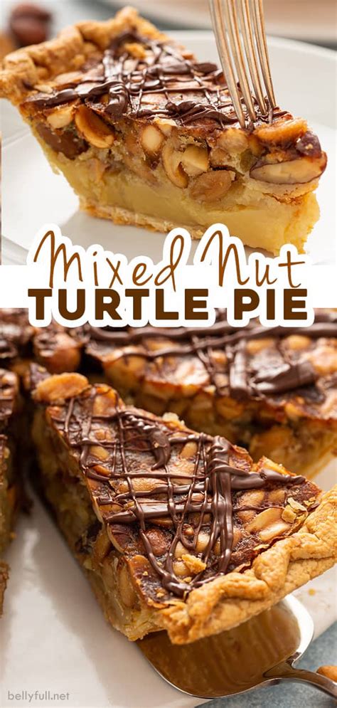 Mixed Nut Turtle Pie Belly Full