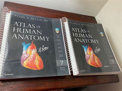Netter Atlas Of Human Anatomy 7th Ed Hobbies And Toys Books And Magazines