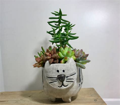 If ingested, the cat may show signs of. Cat Planter/Animal Planter/Cat Lovers Gift/Handmade Cat ...