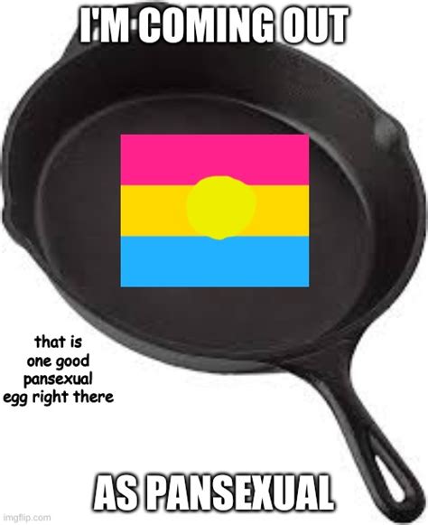 Pansexual Meme - Iam Pansexual Polyamorous Non Binary Vegan Funny Meme
