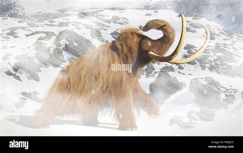 Woolly Mammoth Prehistoric Mammal In Ice Age Landscape Stock Photo Alamy