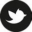 Download High Quality White Twitter Logo Round Transparent PNG Images 