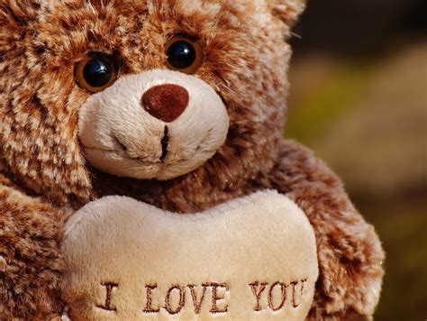 Free Images Love Teddy Bear Plush Sweet Bears Cute Romantic Heart Toys Friendship
