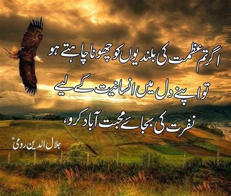 Maulana Rumi Quotes And Sayings In Urdu Mevlana Rumi Quotes