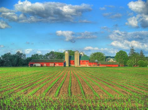 .spring house farm has been able to expand our farm and farm store in various ways over the we have been able to welcome additional local vendors to our farm store, expanding our product lines. Free Farm in Spring Stock Photo - FreeImages.com