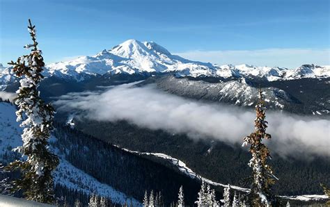 11 Fun Facts About Mount Rainier National Park Tjmbb