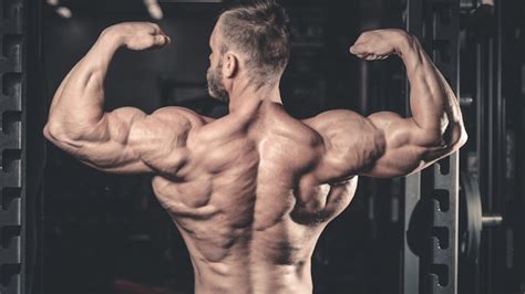 Best Lower Trap Exercises To Build Mass And Strength