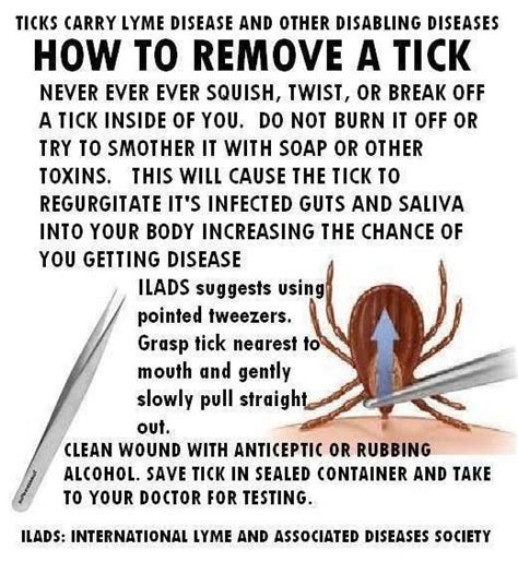 Get hold of the tick with your tweezers as close to your dog's skin as possible. Tick removal...th7s just freaks menout but I guess its ...